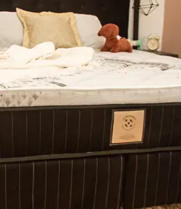 Reforma de Colchao em Curitiba - Carneiro - LP Topo