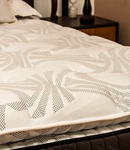 Reforma de Colchao em Curitiba - Carneiro - LP Topo